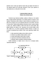 Referāts 'Mārketings a/s "Euroalidāde"', 6.