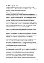 Referāts 'Brīvprātīgā palīga motivācija strādāt sociālo darbu', 6.