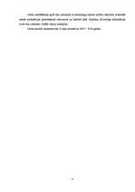 Referāts 'SIA "Ilgezeem" iziešanas iespēju novērtējums starptautiskā tirgū', 4.