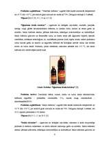 Referāts 'SIA "Ilgezeem" iziešanas iespēju novērtējums starptautiskā tirgū', 9.