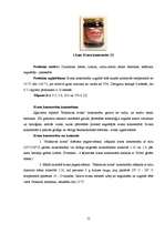 Referāts 'SIA "Ilgezeem" iziešanas iespēju novērtējums starptautiskā tirgū', 12.