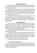 Referāts 'SIA "Ilgezeem" iziešanas iespēju novērtējums starptautiskā tirgū', 22.