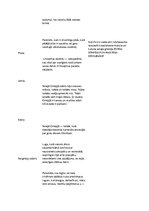 Konspekts 'Sengrieķu kultūra un literatūra', 2.