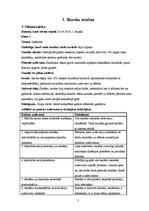 Prakses atskaite 'Stundu analīze', 2.