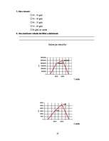 Prakses atskaite 'SIA "X" prakses atskaite', 19.