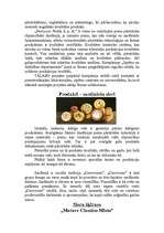 Referāts 'Itāljas siera rūpniecība', 3.