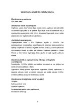 Biznesa plāns 'SIA "Ašie zibeņi"', 4.