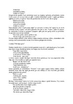 Konspekts 'Rainis "Tālas noskaņas zilā vakarā"', 3.