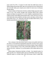 Prakses atskaite 'Ilzeskalna poligona ģeoloģiskā uzbūve, reljefs un mūsdienu ģeoloģiskie procesi', 18.