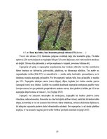 Prakses atskaite 'Ilzeskalna poligona ģeoloģiskā uzbūve, reljefs un mūsdienu ģeoloģiskie procesi', 25.