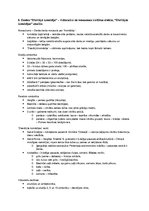 Konspekts 'Literatūras vēstures eksāmenu biļetes', 17.