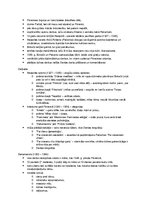 Konspekts 'Literatūras vēstures eksāmenu biļetes', 20.