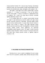 Diplomdarbs 'Lietuviešu integrēšanās Rubas pagasta kultūrvidē', 18.