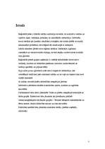 Referāts 'Reģionālās preses vieta mediju sistēmā', 3.