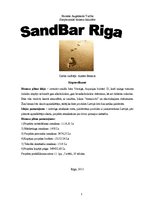 Biznesa plāns 'Biznesa ideja "Smilšu bārs"', 1.