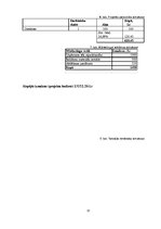 Biznesa plāns 'Biznesa ideja "Smilšu bārs"', 13.