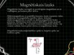 Prezentācija 'Magnētisms', 9.