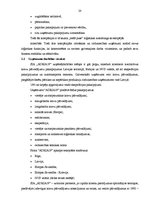 Diplomdarbs 'Kravas piegādes varianta izvēle', 20.