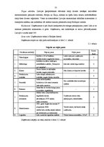 Diplomdarbs 'Kravas piegādes varianta izvēle', 23.