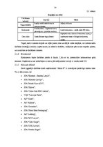 Diplomdarbs 'Kravas piegādes varianta izvēle', 24.