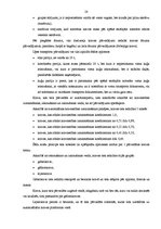 Diplomdarbs 'Kravas piegādes varianta izvēle', 28.