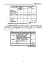 Biznesa plāns 'SIA "Bellisima lingua"', 10.