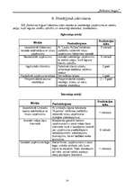 Biznesa plāns 'SIA "Bellisima lingua"', 14.