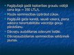 Prezentācija 'Lietuva', 9.