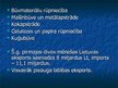 Prezentācija 'Lietuva', 11.