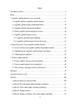 Diplomdarbs 'Organizāciju loma Latvijas augstākās izglītības eksporta veicināšanā', 5.