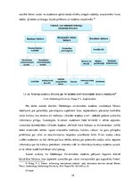 Diplomdarbs 'Organizāciju loma Latvijas augstākās izglītības eksporta veicināšanā', 24.