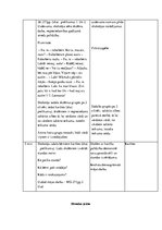 Prakses atskaite 'Kvalifikācijas prakses atskaite pedagoģijā', 13.