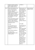 Prakses atskaite 'Kvalifikācijas prakses atskaite pedagoģijā', 19.