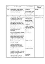 Prakses atskaite 'Kvalifikācijas prakses atskaite pedagoģijā', 21.