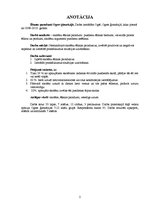 Referāts 'Skolēnu ēšanas paradumi', 2.
