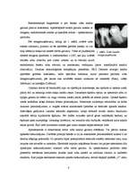Referāts 'Endodontijas ierīces', 6.
