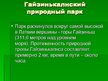 Prezentācija 'Природные зоны Латвии', 4.