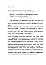 Referāts 'Konfliktu vadīšana un atspoguļojums praksē', 6.