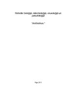 Referāts 'Antibiotikas', 1.
