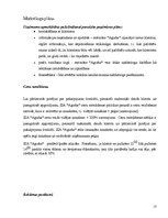 Biznesa plāns 'Biznesa plāns restorānam', 13.