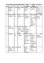 Konspekts 'Matemātikas stundas plāns', 2.