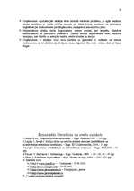 Prakses atskaite 'Prakses atskaite SIA', 17.