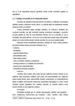 Referāts 'Līderības fenomens. Līdera noteikšanas paņēmieni', 7.