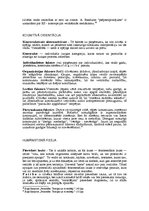 Konspekts 'Personības psiholoģijas terminu skaidrojums', 7.