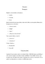 Referāts 'Ceļojums uz Kanādu', 19.