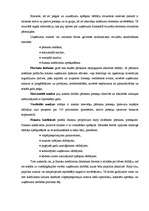 Diplomdarbs 'Latvijas farmaceitiskais tirgus pēc iestāšanās ES ', 35.