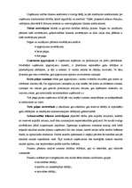 Diplomdarbs 'Latvijas farmaceitiskais tirgus pēc iestāšanās ES ', 36.