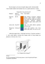 Diplomdarbs 'Tehnisko līdzekļu pielietojuma analīze muitošanas procesā MKP 0240', 37.