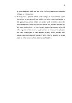 Diplomdarbs 'Tehnisko līdzekļu pielietojuma analīze muitošanas procesā MKP 0240', 58.