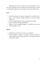 Referāts 'Vegānisms. Vienas dienas sabalansētas ēdienkartes izstrāde', 6.